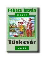 TÜSKEVÁR