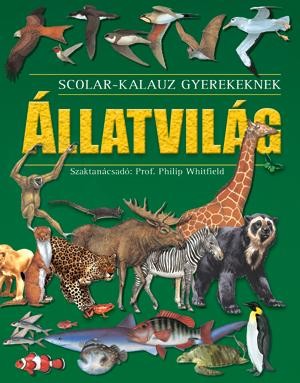 HÁROMDIMENZIÓS ANATÓMIAI ATLASZ - CD-ROM-MAL -