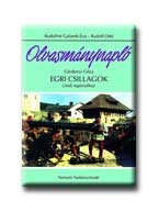 EGRI CSILLAGOK - OLVASMÁNYNAPLÓ - NEMZEDÉKEK TUDÁSA