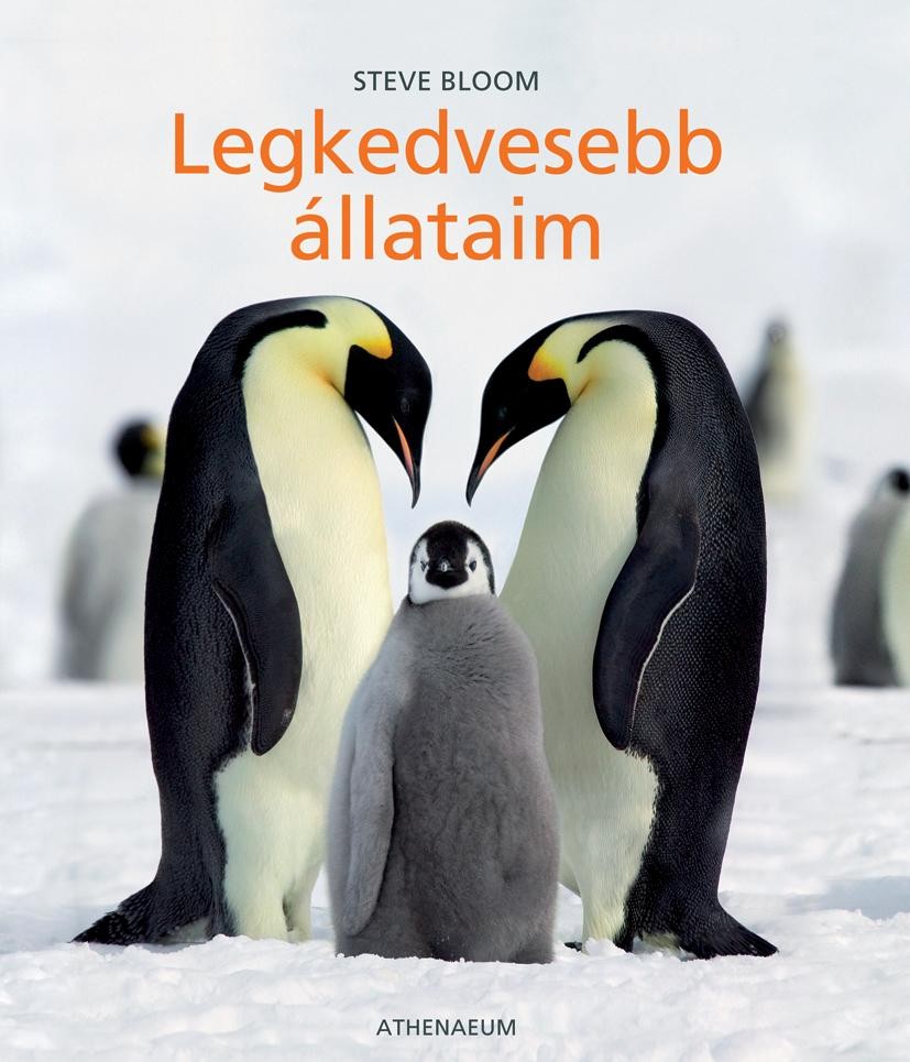 LEGKEDVESEBB ÁLLATAIM - (2010)
