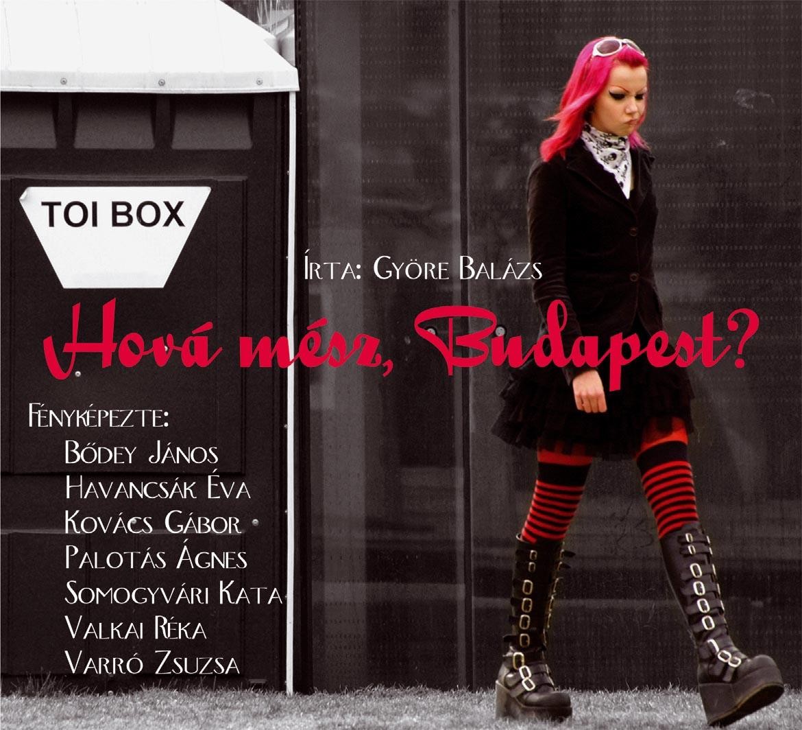HOVÁ MÉSZ, BUDAPEST? (2010)