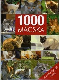 1000 MACSKA - A SZELÍD TIGRISEK VILÁGA (2010)
