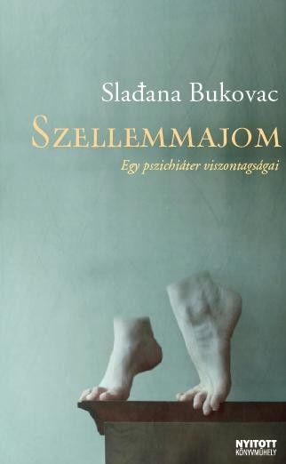 SZELLEMMAJOM - EGY PSZICHIÁTER VISZONTAGSÁGAI (2010)