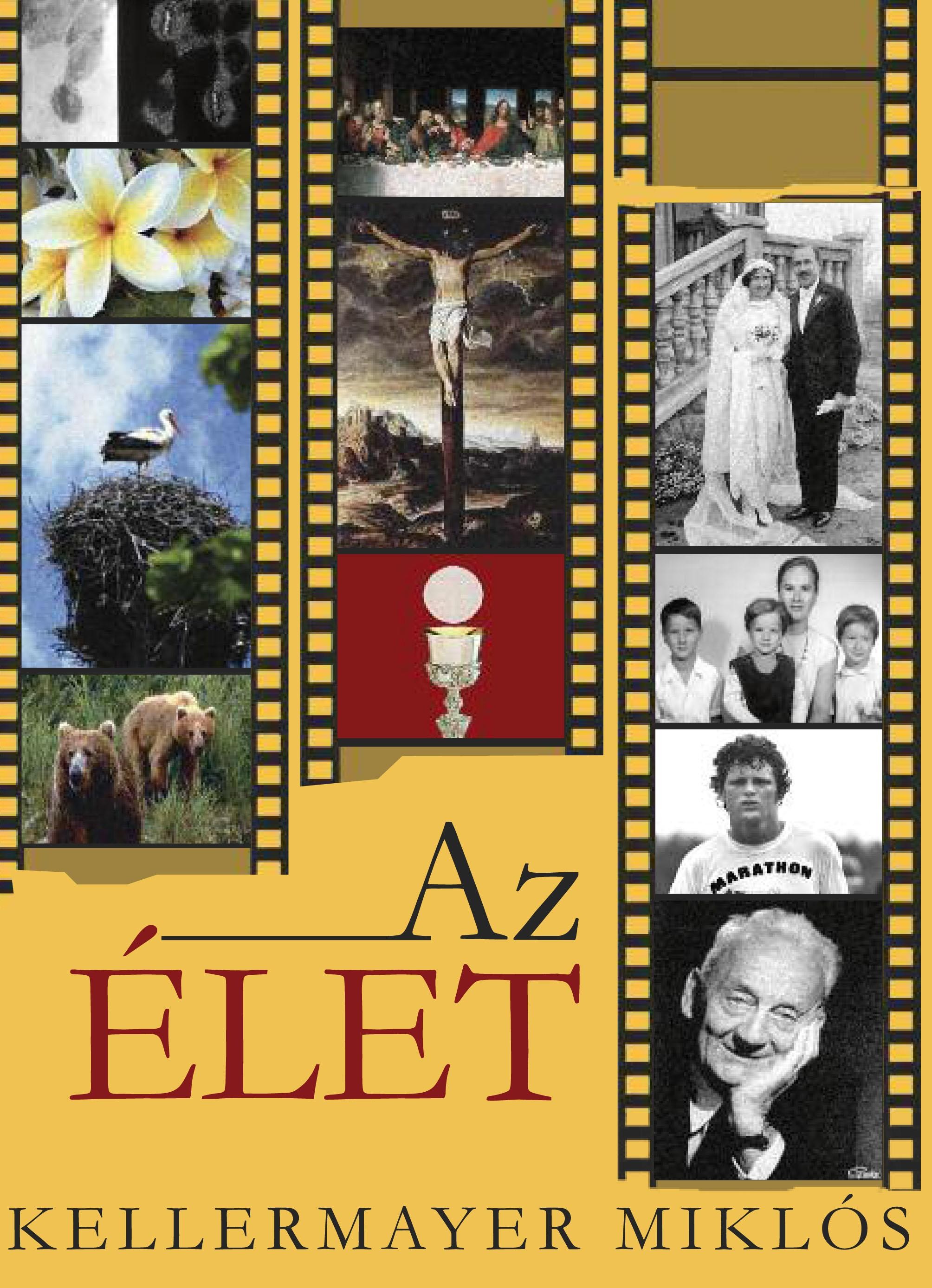 AZ ÉLET (2010)