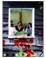 PROFI BÉRGYILKOST KERESÜNK - DVD - (2011)