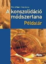 A KONSZOLIDÁCIÓ MÓDSZERTANA - PÉLDATÁR (2010)