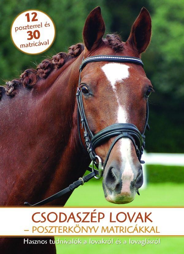 CSODASZÉP LOVAK - POSZTERKÖNYV MATRICÁKKAL (2011)