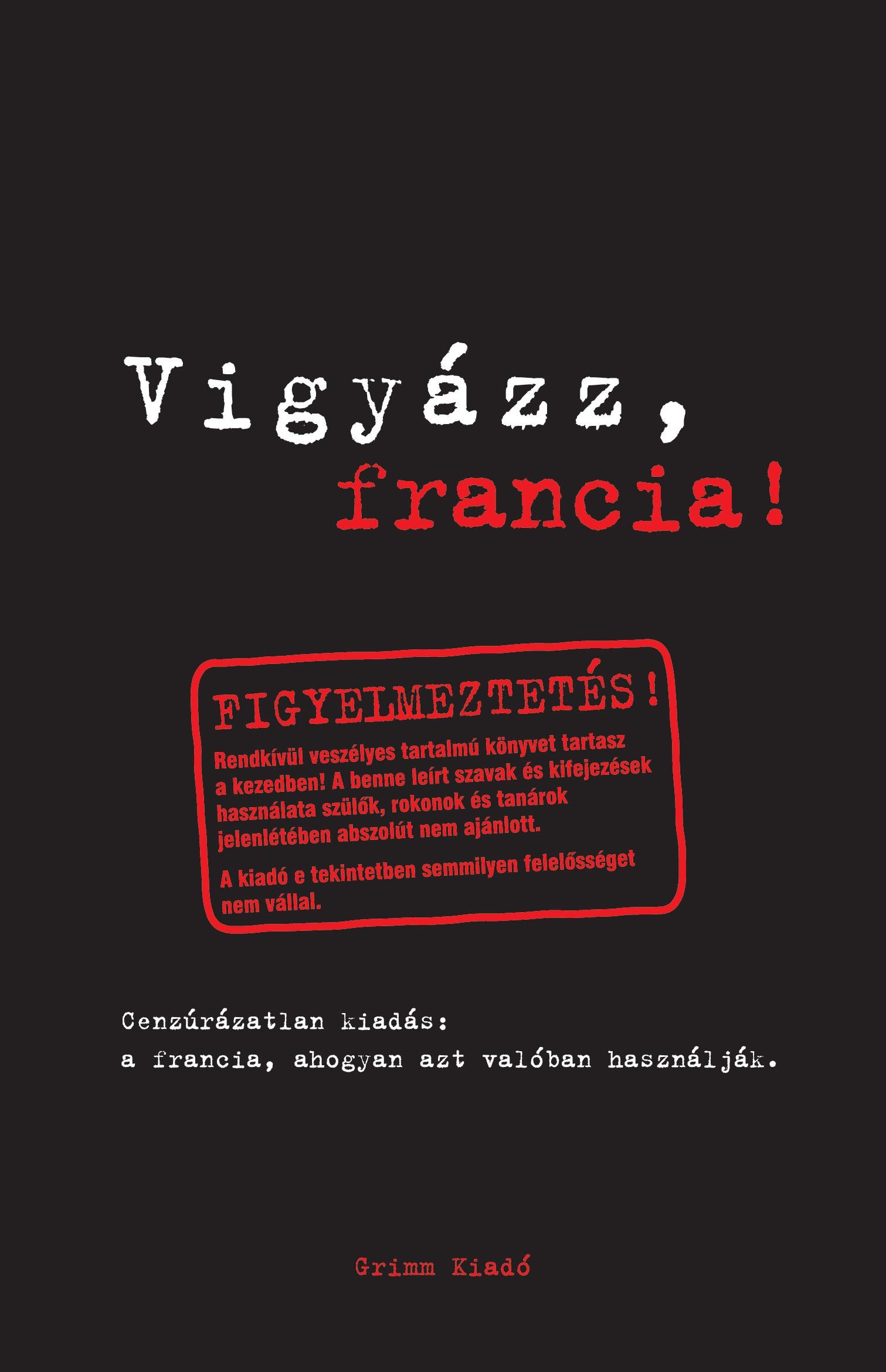 VIGYÁZZ, FRANCIA! (2006)