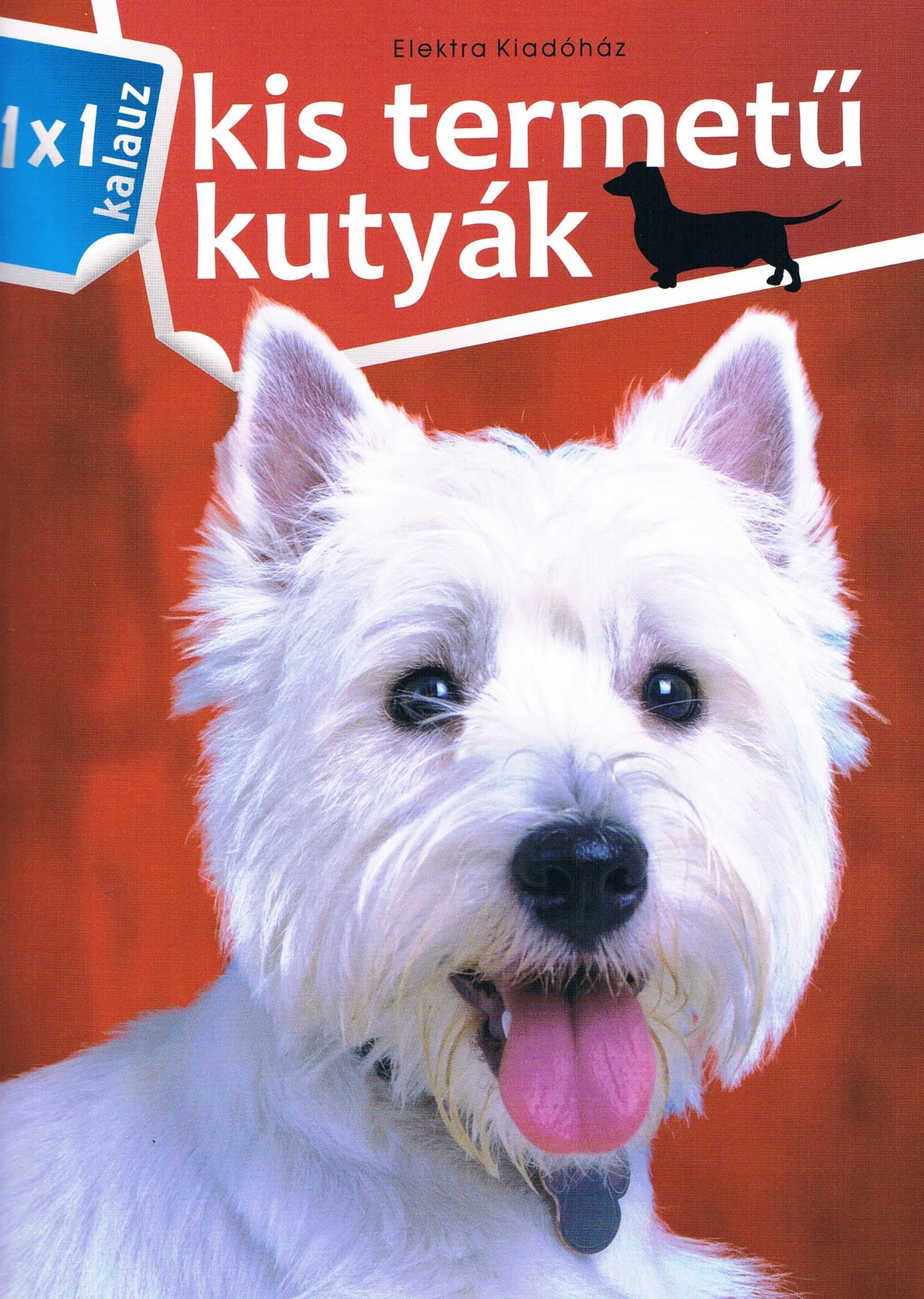 KIS TERMETŰ KUTYÁK - 1X1 KALAUZ (2010)
