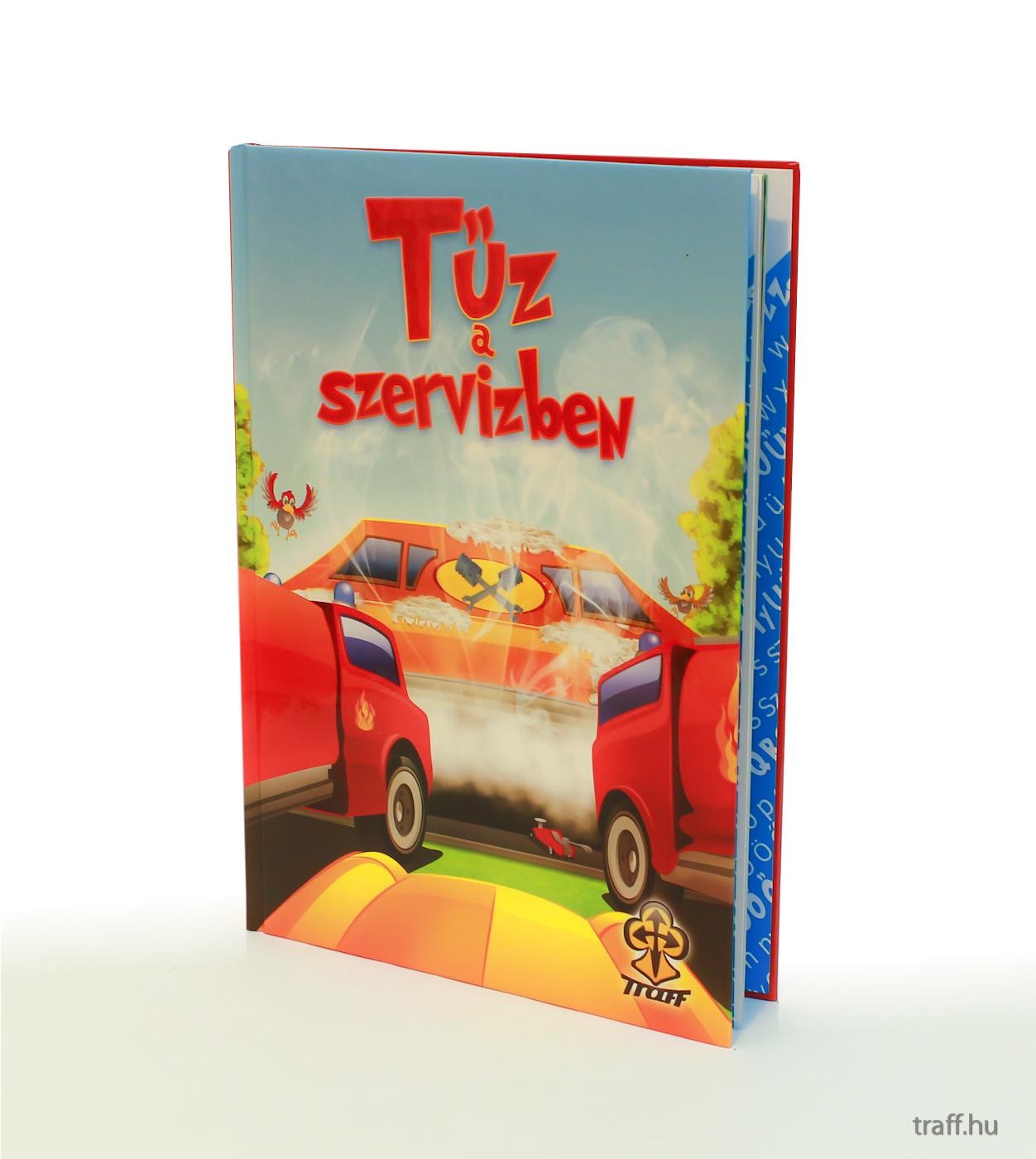 TŰZ A SZERVIZBEN (2010)
