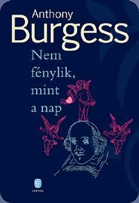 NEM FÉNYLIK, MINT A NAP (2011)