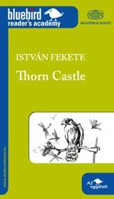 THORN CASTLE - TÜSKEVÁR (ANGOL KÖNNYÍTETT OLVASMÁNY) (2011)