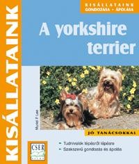 A YORKSHIRE TERRIER - KISÁLLATAINK (2011)