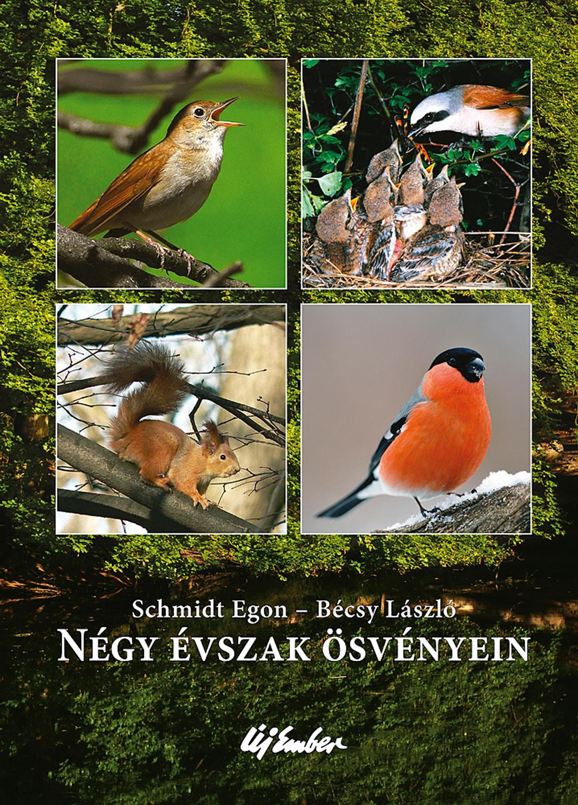 NÉGY ÉVSZAK ÖSVÉNYEIN (2011)
