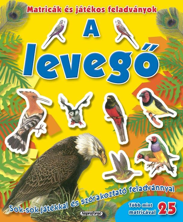 A LEVEGŐ - MATRICÁK ÉS JÁTÉKOS FEALADVÁNYOK (2011)