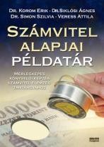 SZÁMVITEL ALAPJAI PÉLDATÁR (2011)