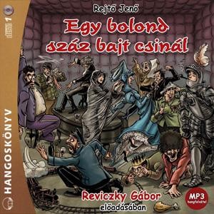 EGY BOLOND SZÁZ BAJT CSINÁL - HANGOSKÖNYV (2011)