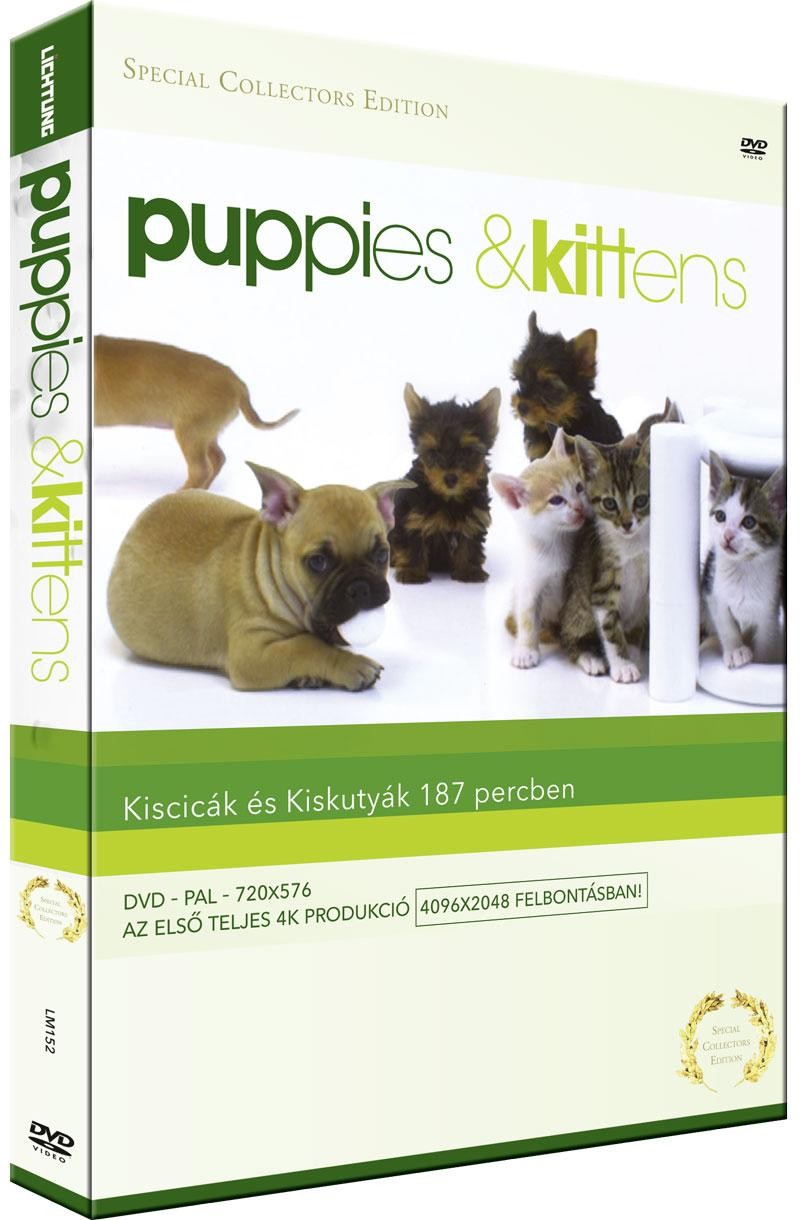 PUPPIES AND KITTENS - KISKUTYÁK ÉS KISCICÁK - DVD - (2011)