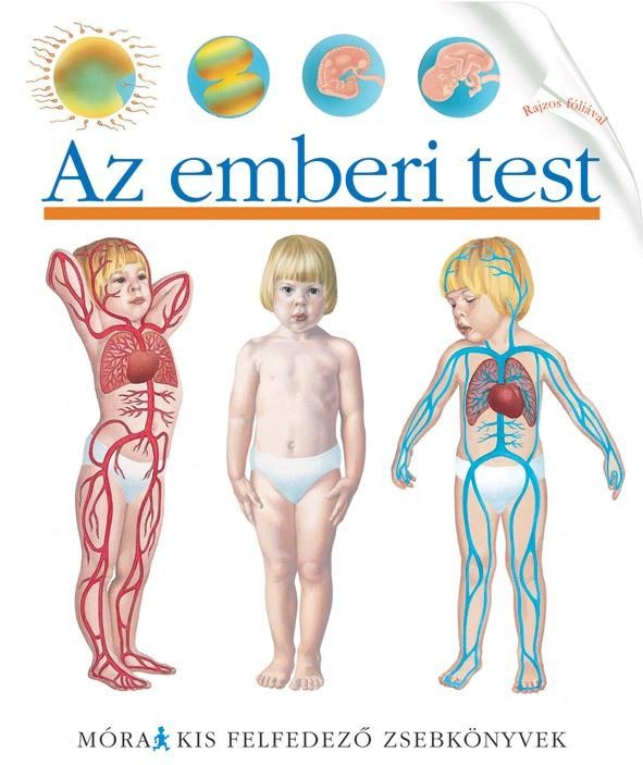 AZ EMBERI TEST - KIS FELFEDEZŐ ZSEBKÖNYVEK (2011)