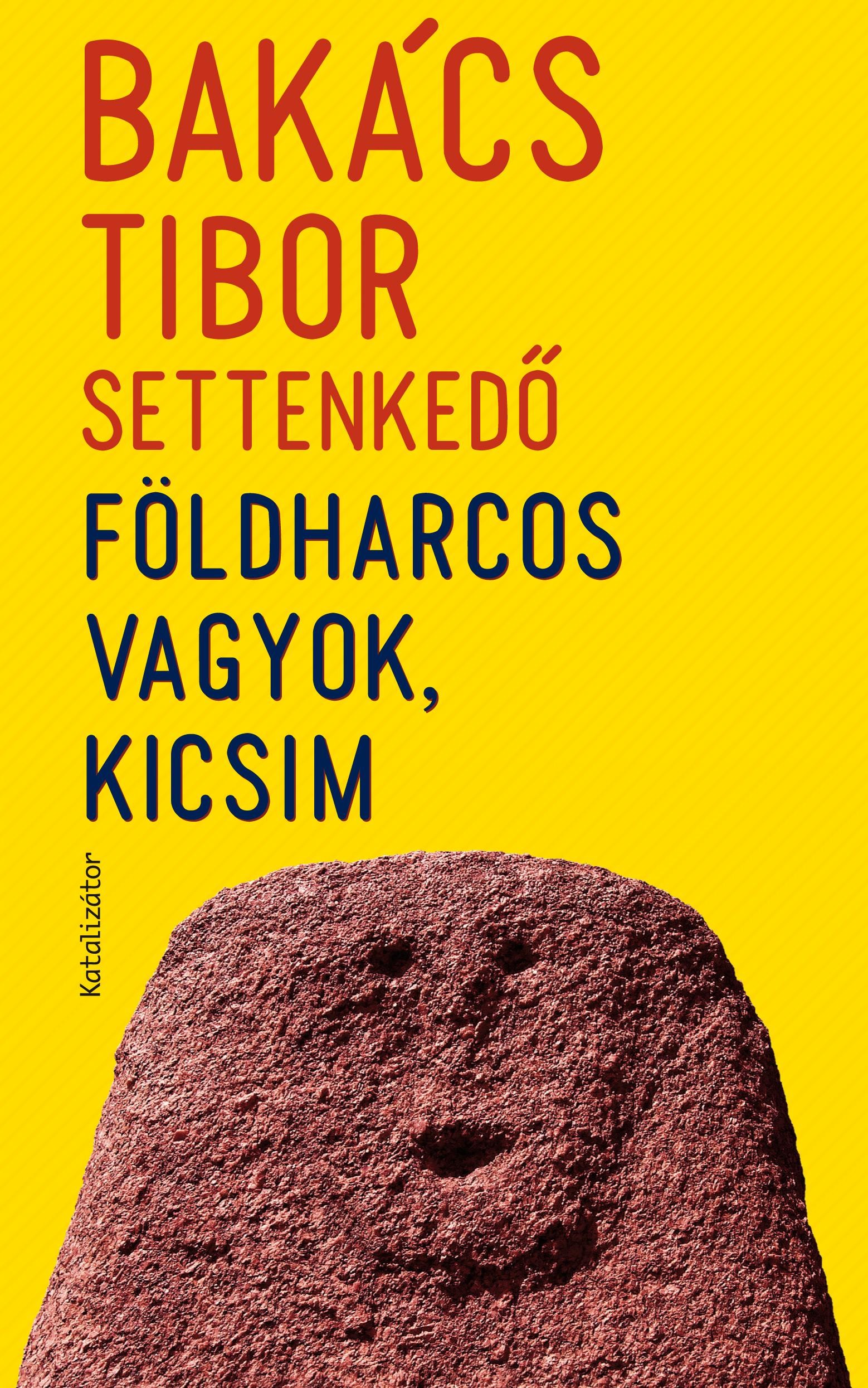 FÖLDHARCOS VAGYOK, KICSIM (2011)