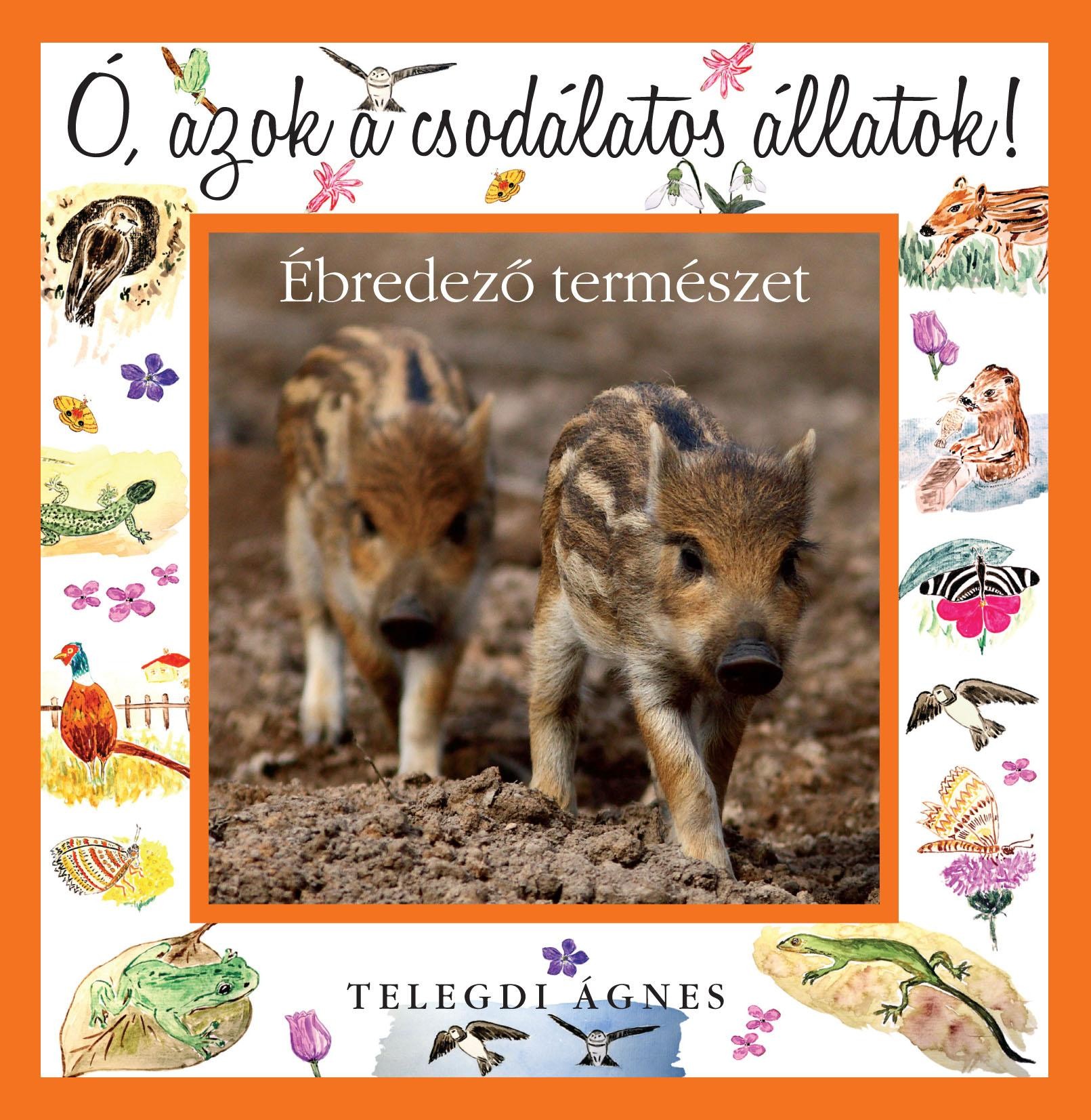 ÉBREDEZŐ TERMÉSZET - Ó, AZOK A CSODÁLATOS ÁLLATOK! (2012)