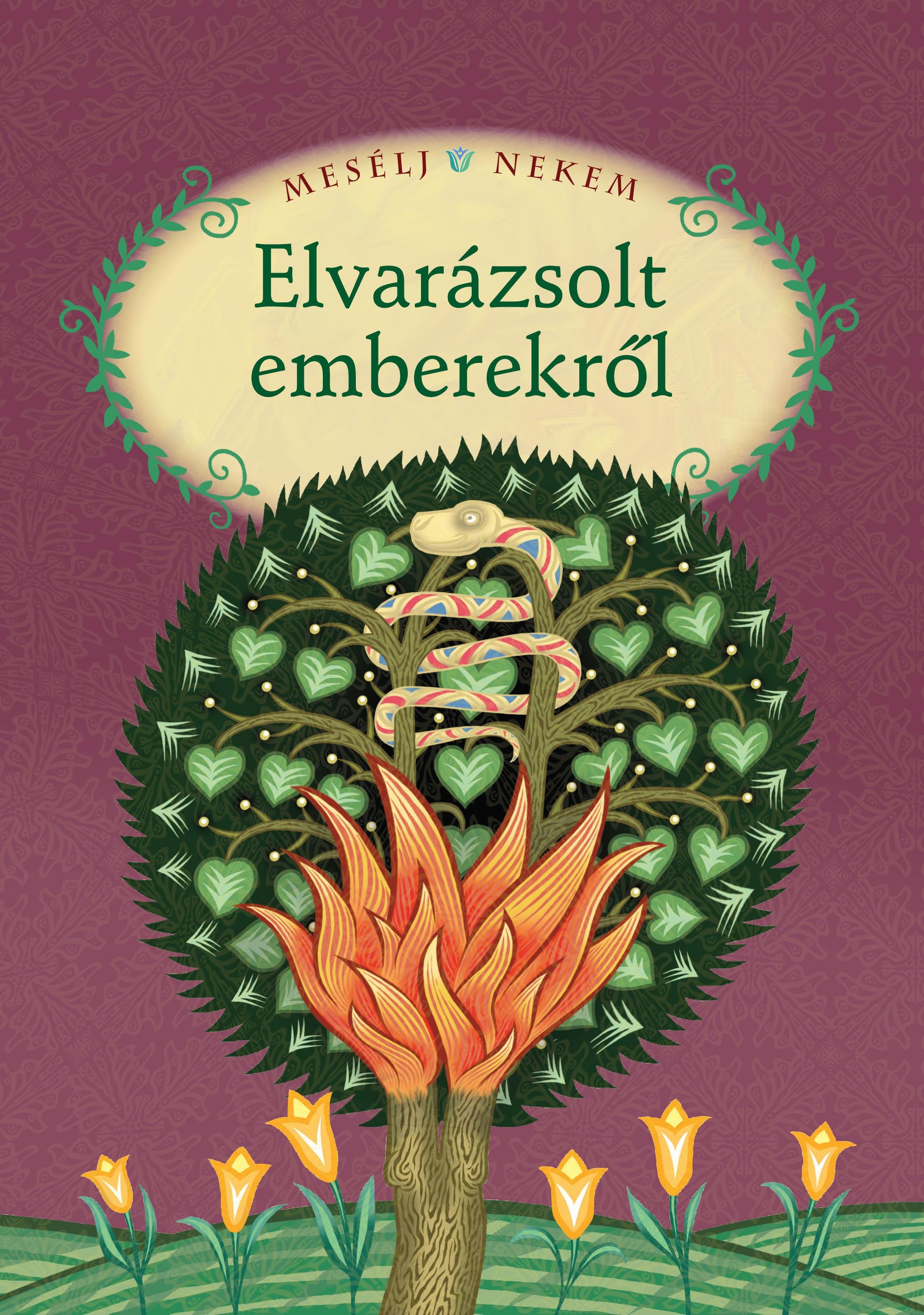 MESÉLJ NEKEM ELVARÁZSOLT EMBEREKRŐL - 14. - (2012)