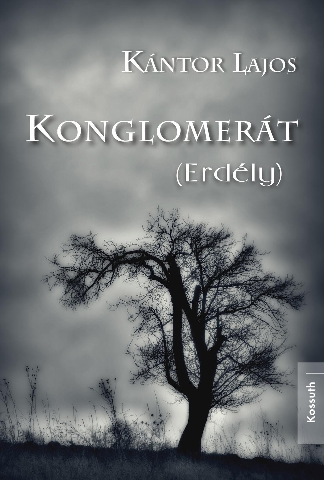 KONGLOMERÁT (ERDÉLY) (2012)