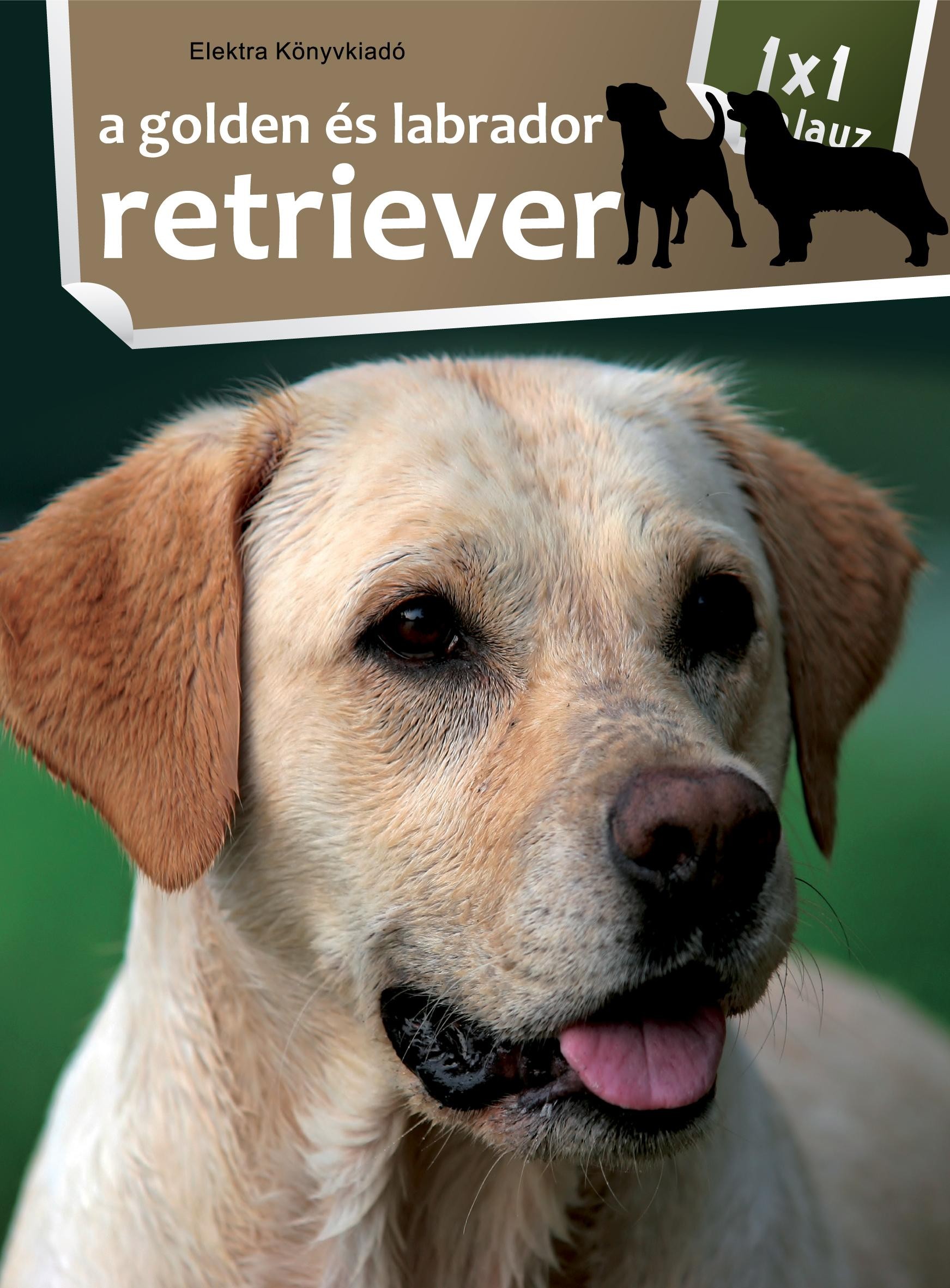 A GOLDEN ÉS A LABRADOR RETRIEVER - 1X1 KALAUZ (2011)
