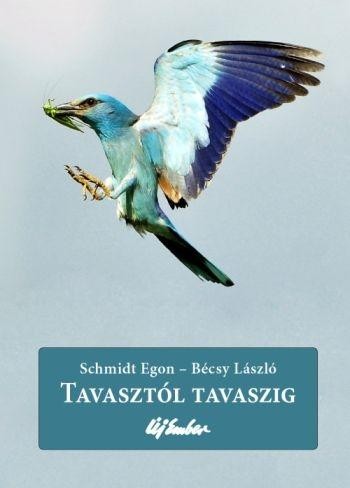 TAVASZTÓL TAVASZIG (2012)