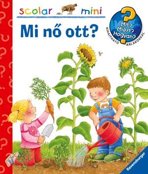 MI NŐ OTT? - SCOLAR MINI (2012)