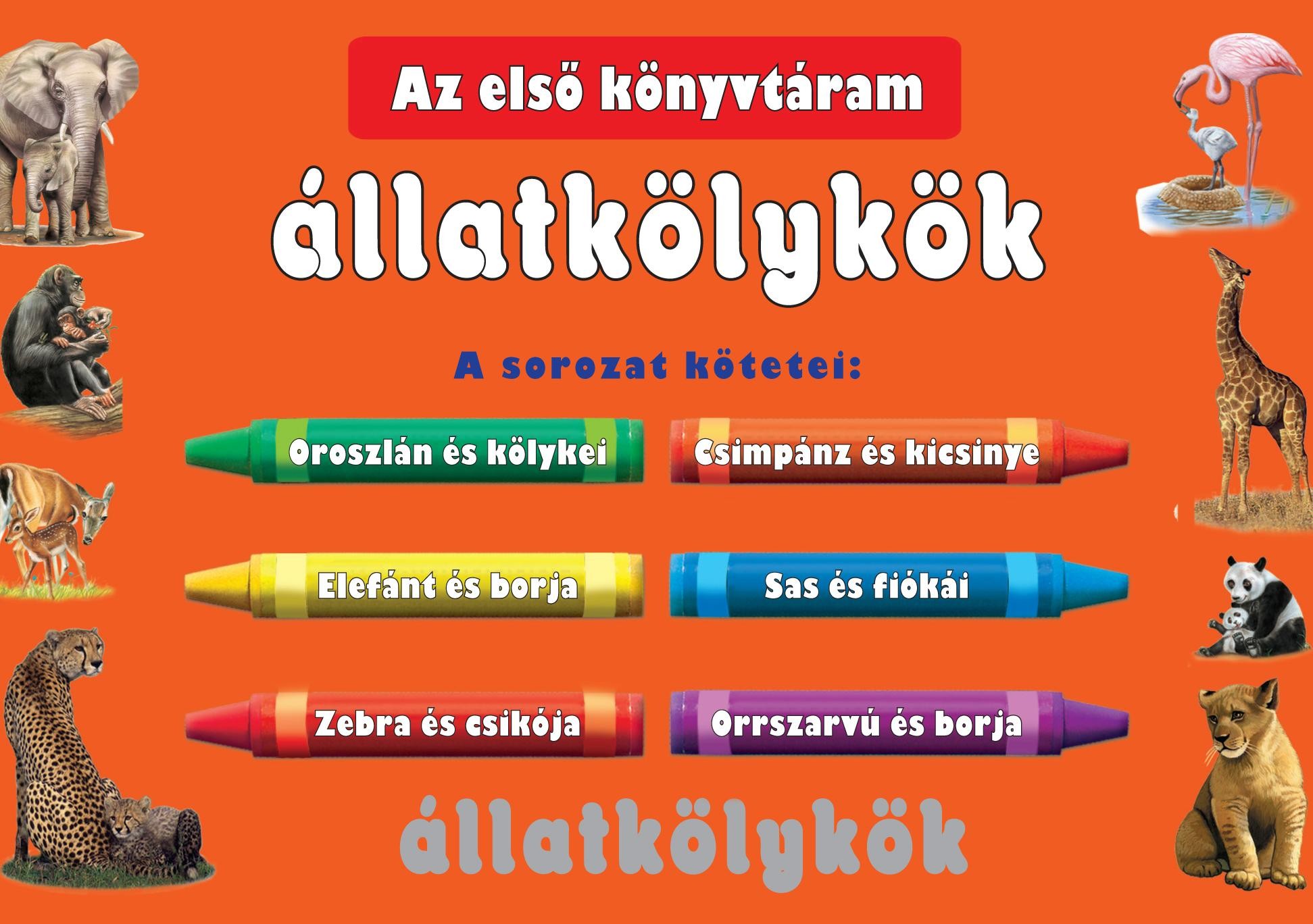 ÁLLATKÖLYKÖK - AZ ELSŐ KÖNYVTÁRAM (6DB KISKÖNYV) (2012)