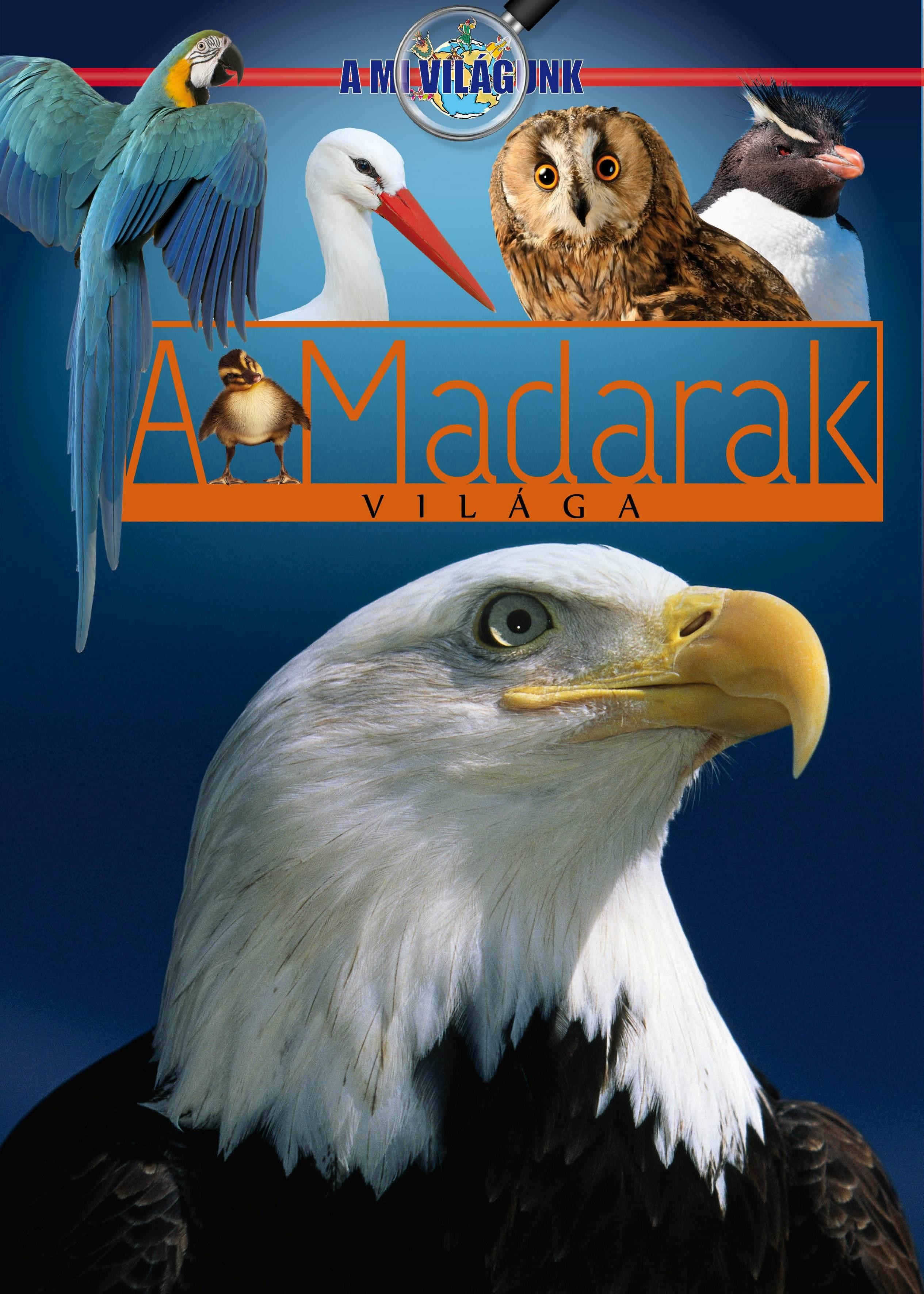 A MADARAK VILÁGA - A MI VILÁGUNK (2012)
