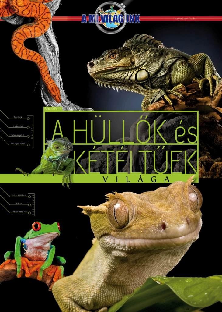 A HÜLLŐK ÉS KÉTÉLTŰEK VILÁGA - A MI VILÁGUNK (2012)
