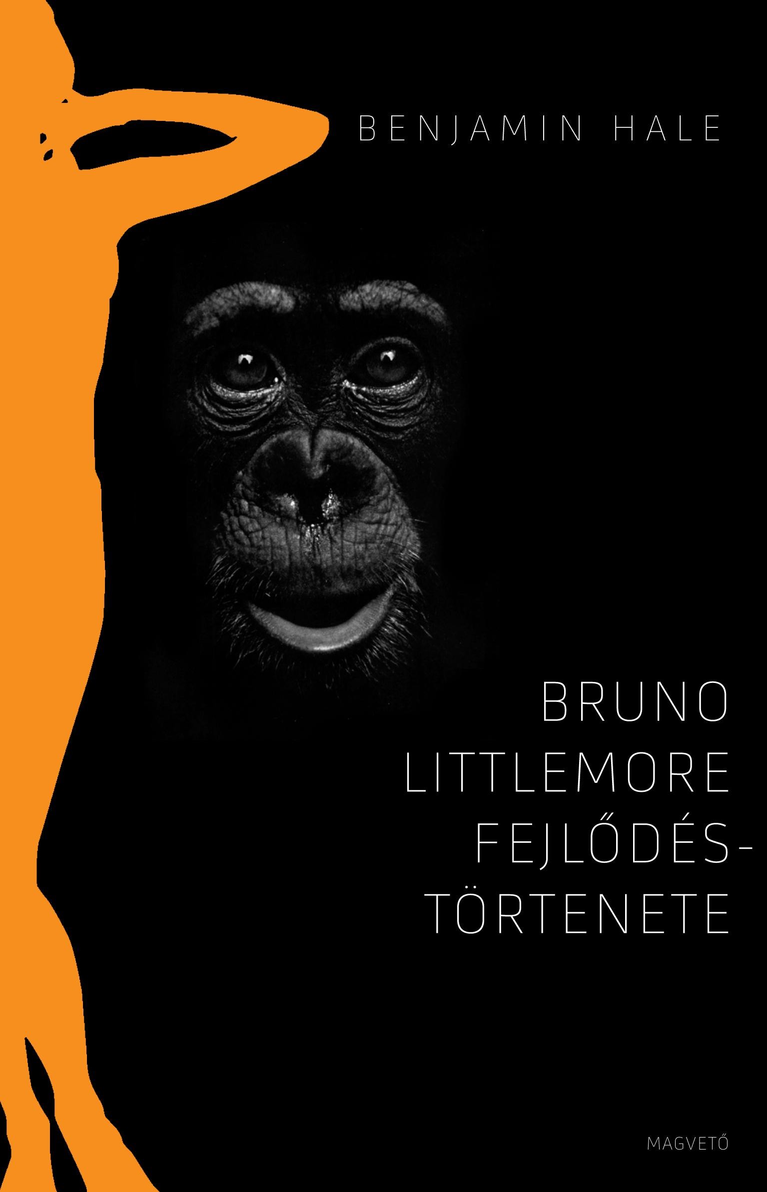 BRUNO LITTLEMORE FEJLŐDÉSTÖRTÉNETE (2012)
