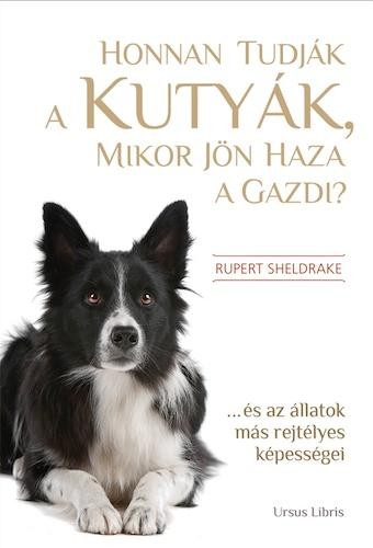 HONNAN TUDJÁK A KUTYÁK, MIKOR JÖN HAZA A GAZDI? (2012)