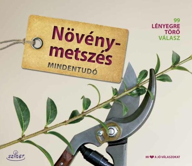 METSZÉS MINDENTUDÓ (2013)