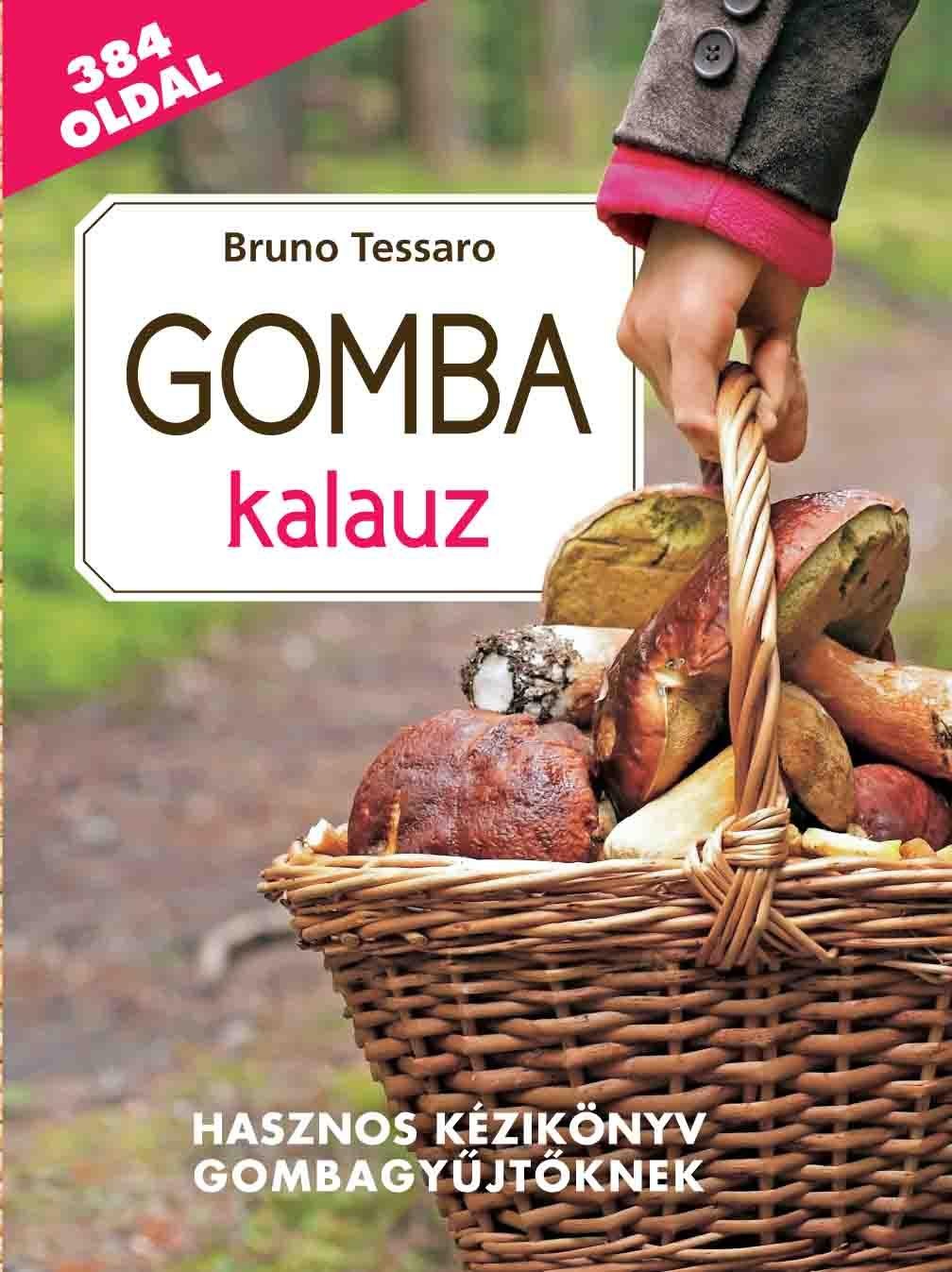 GOMBA KALAUZ - KÖNYV + AJÁNDÉK BICSKA (2013)