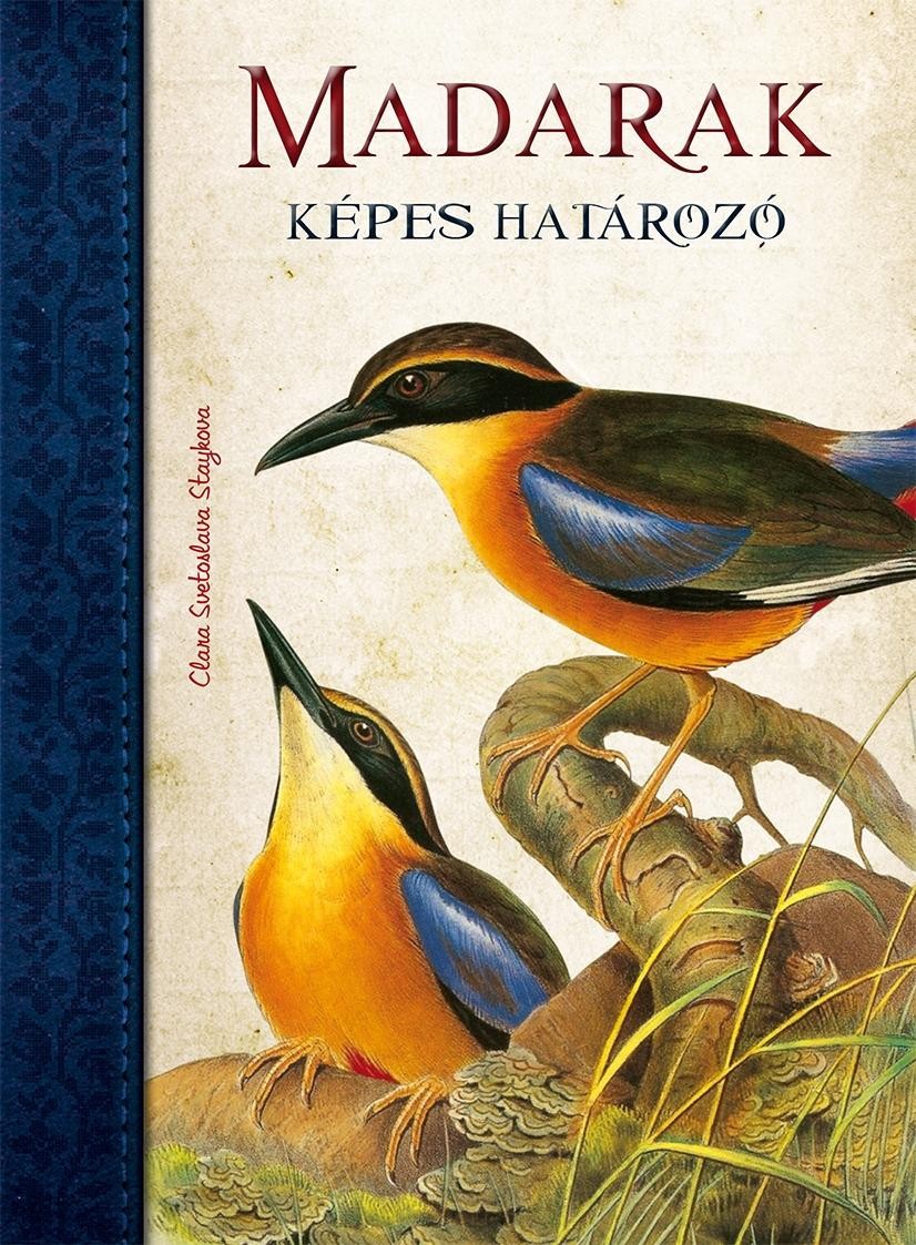 MADARAK - KÉPES HATÁROZÓ (2013)