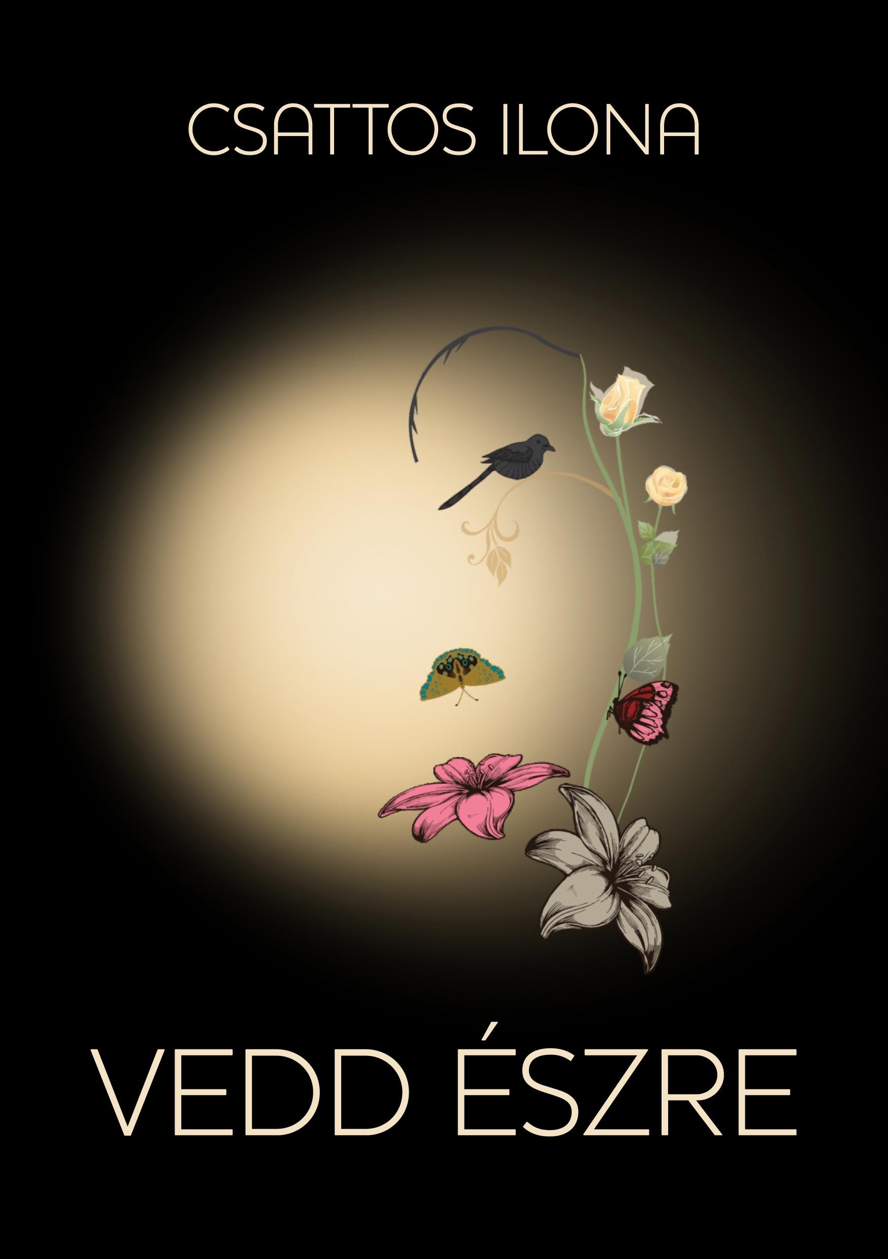 VEDD ÉSZRE (2012)
