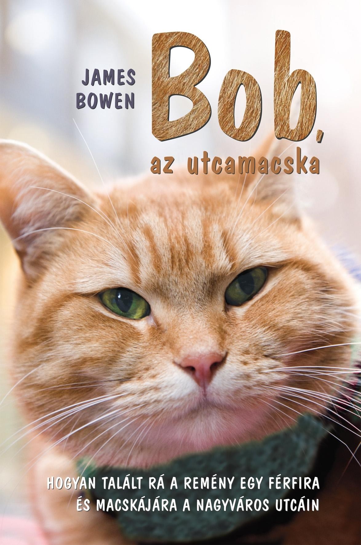 BOB, AZ UTCAMACSKA (2013)