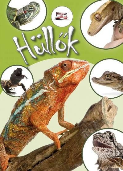 HÜLLŐK (2013)