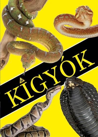 KÍGYÓK (2013)