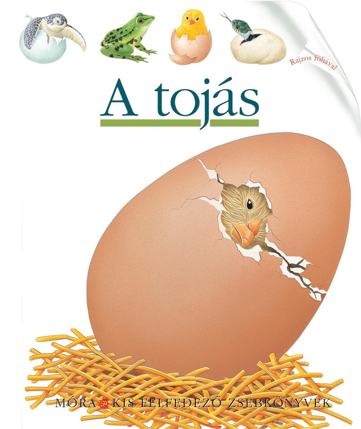 A TOJÁS - KIS FELFEDEZŐ ZSEBKÖNYVEK (2013)