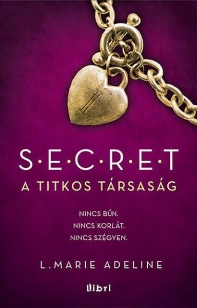S.E.C.R.E.T. - A TITKOS TÁRSASÁG (2013)