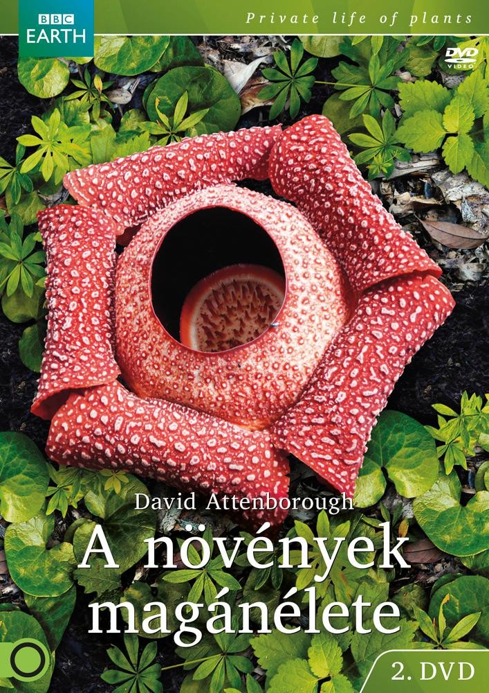 A NÖVÉNYEK MAGÁNÉLETE 2. - DVD - (2013)