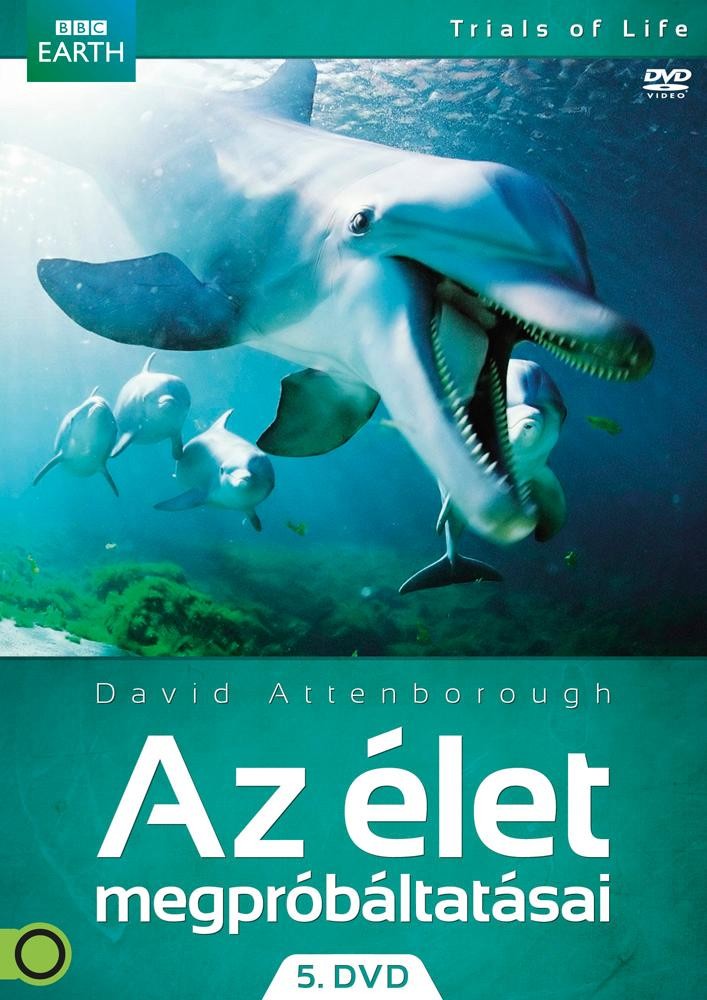 AZ ÉLET MEGPRÓBÁLTATÁSAI 5. - DVD - (2013)