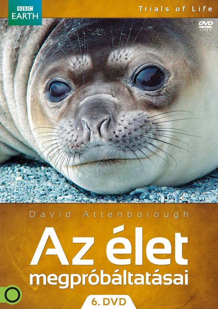AZ ÉLET MEGPRÓBÁLTATÁSAI 6. - DVD - (2013)