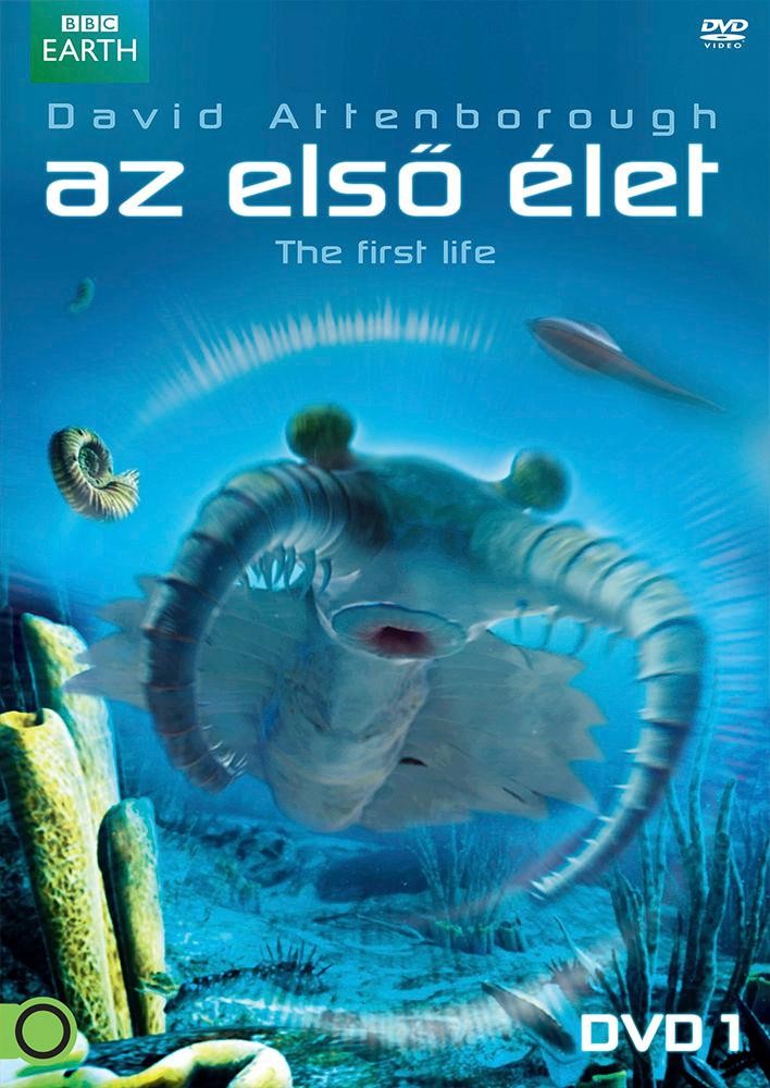 AZ ELSŐ ÉLET 1. - DVD - (2013)