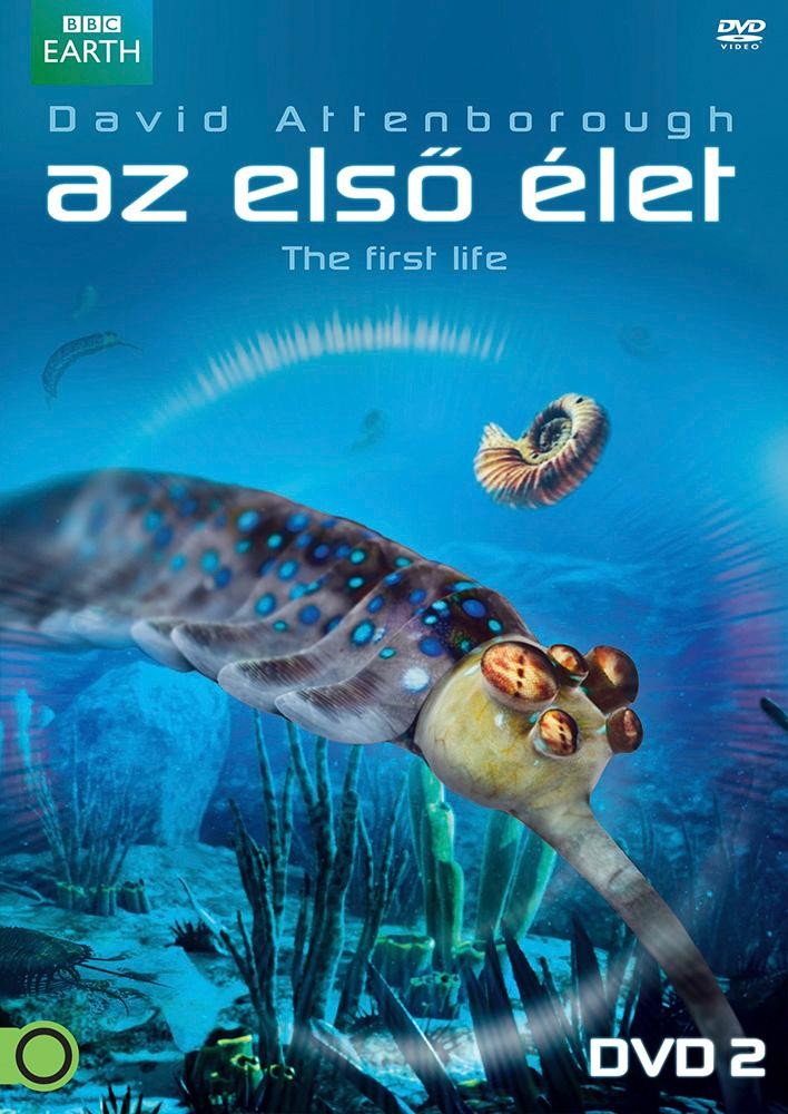 AZ ELSŐ ÉLET 2. - DVD - (2013)