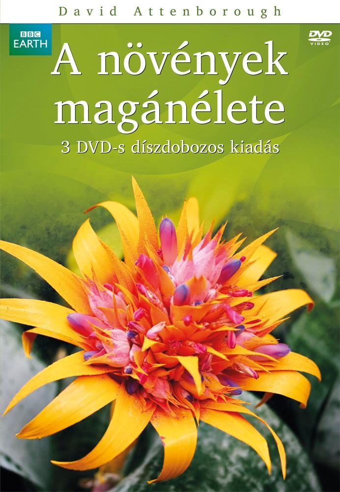 A NÖVÉNYEK MAGÁNÉLETE - DÍSZDOBOZ - 3 DVD - (2013)